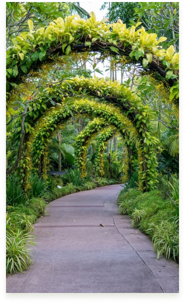 Paysagiste en plein jardinage